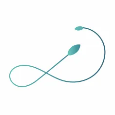 klineva.com's icon