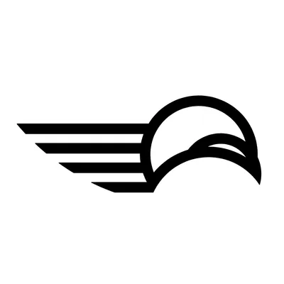 klingtechnology.com's icon
