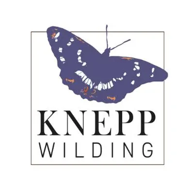 knepp.co.uk's icon
