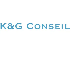 kng-conseil.com's icon