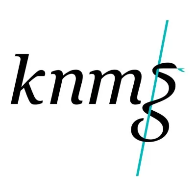 knmg.nl's icon
