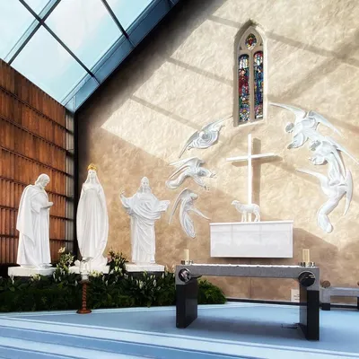 knockshrine.ie's icon