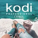 Kodi Professional logo
