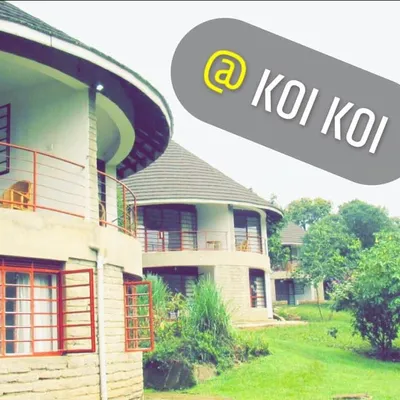 koikoi.co.ug's icon