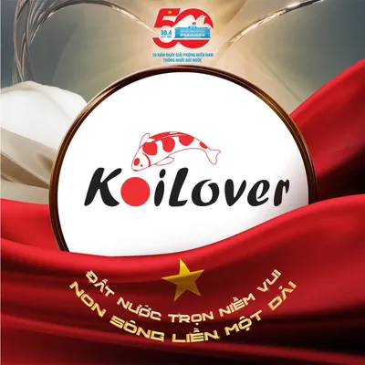 koilover.com.vn's icon