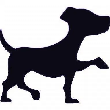 koiraparkki.com's icon