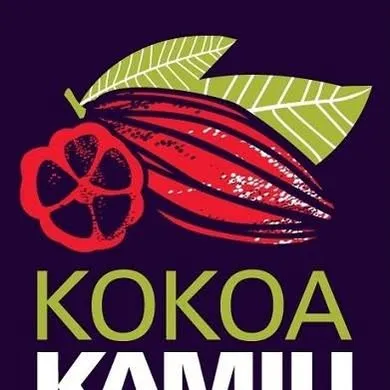 kokoakamili.com's icon