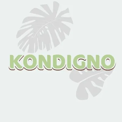kondigno.lt's icon