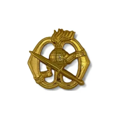 Korps Commandotroepen's brand icon