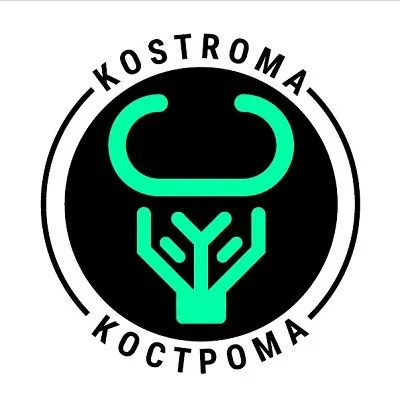 kostroma.co's icon