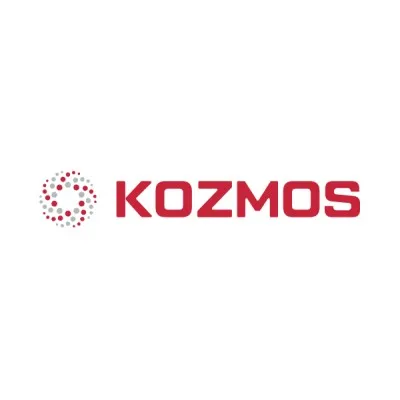 kozmostekstil.com's icon