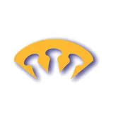 Logo van Kroonstad Support