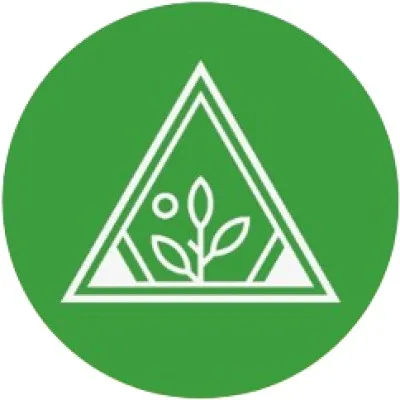 krushivista.com's icon