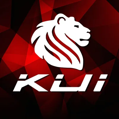 kui.com.tw's icon