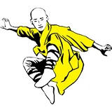 kungfu-king.ro's icon