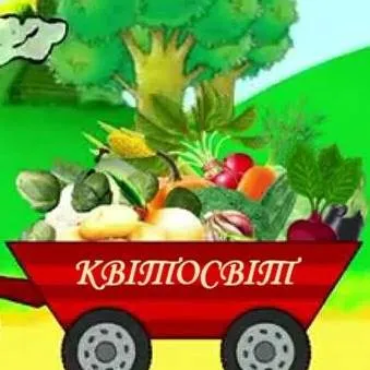 kvitosvit-semena.com.ua's icon