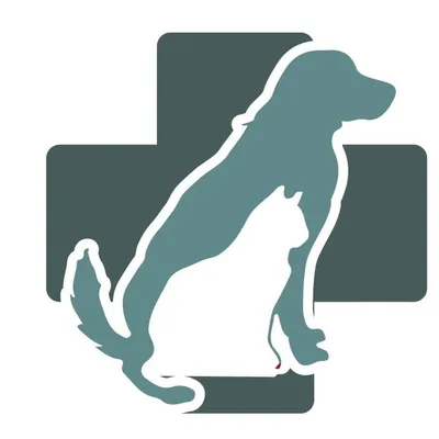 labahnvet.com's icon