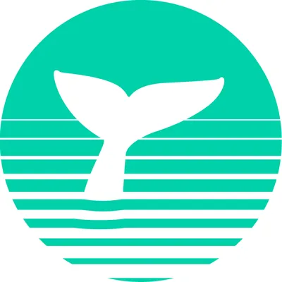 labaleinenomade.com's icon