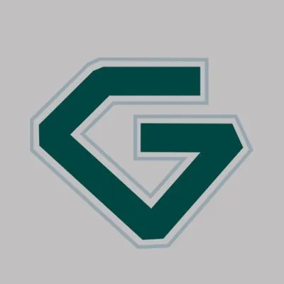 labgrowndiamond.co.in's icon
