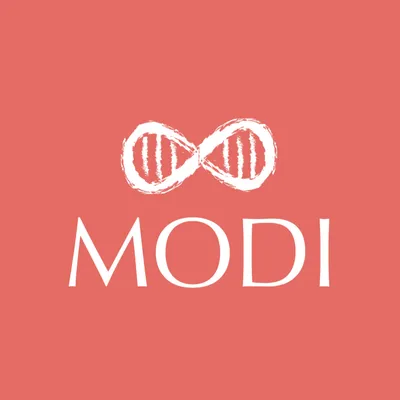 labmodi.com's icon