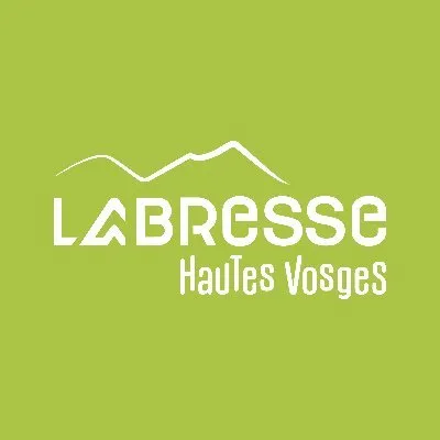 labresse.net's icon