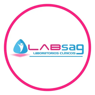 labsag.com.ec's icon