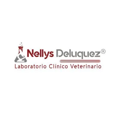 labvetnorte.com's icon