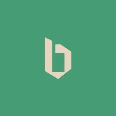 laccinodigital.com's icon