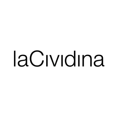 lacividina.com's icon
