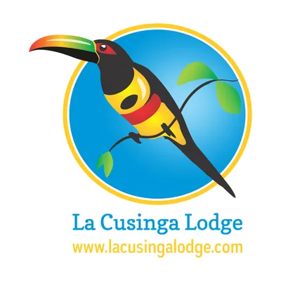 lacusingalodge.com's icon