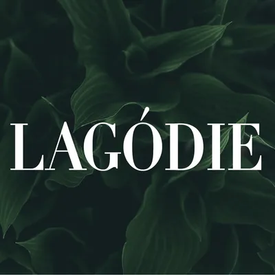 lagodie.com's icon