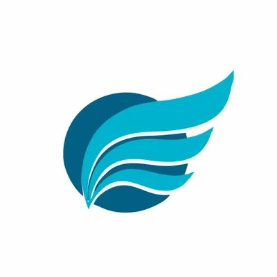 lagosaviationacademy.com's icon