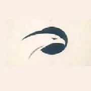 lajufav.com's icon