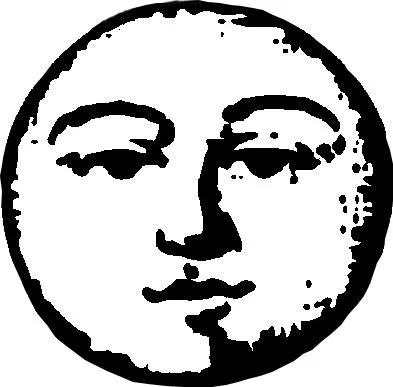 laluneenparachute.com's icon