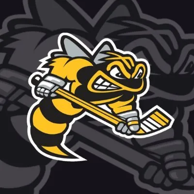 lambtonjrsting.ca's icon