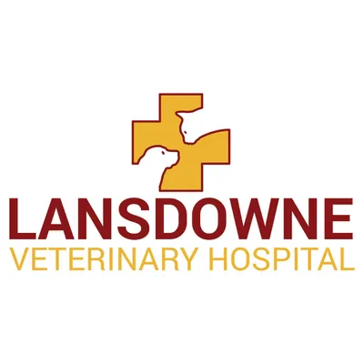 lansdownevh.com's icon