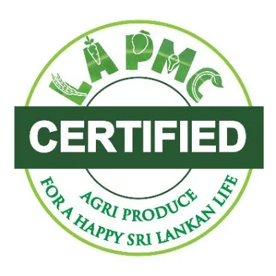 lapmc.co's icon