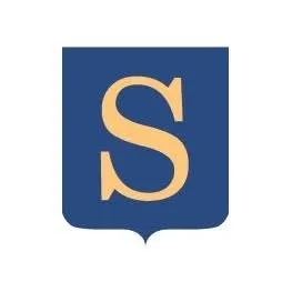 laren.nl's icon