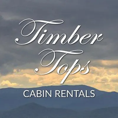 largecabinrentalsonline.com's icon