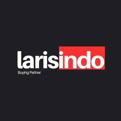larisindo.com's icon