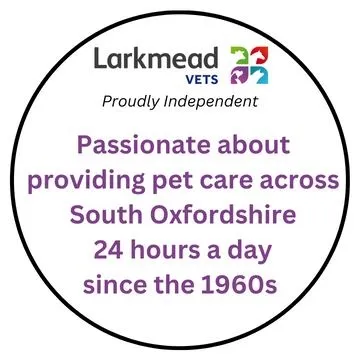 larkmead.co.uk's icon