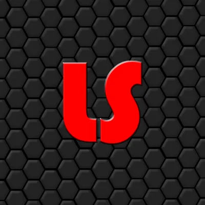 larkseimitsu.com's icon