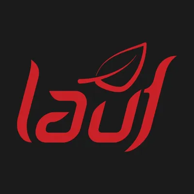 laufcycles.com's icon