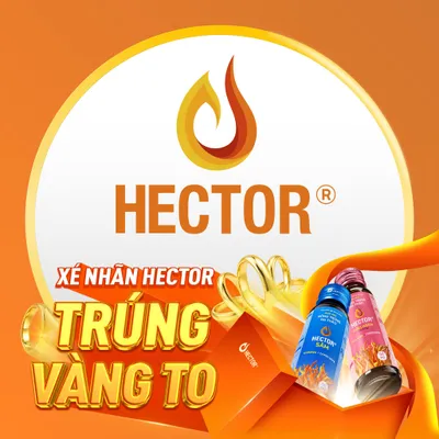 lavite.com.vn's icon