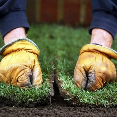 lawrencelandscaping.ca's icon