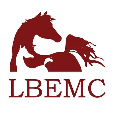 lbemc.com's icon