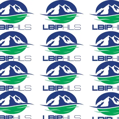 lbiphilsinc.com's icon