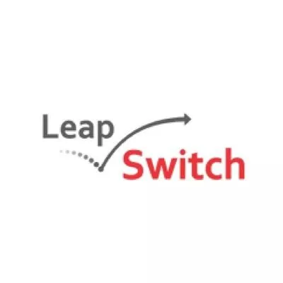 leapswitch.com's icon