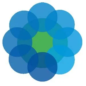 learningbydoingproject.org's icon