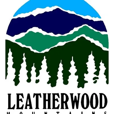 leatherwoodmountains.com's icon